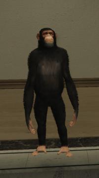 a_c_chimp