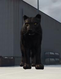 a_c_panther