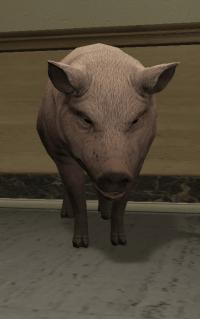 a_c_pig