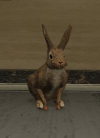 a_c_rabbit_01